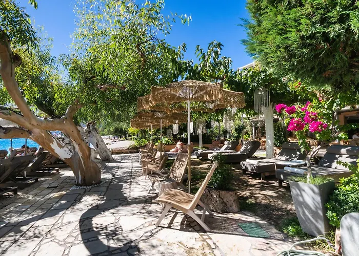 Eva Beach Hotel Lefkada